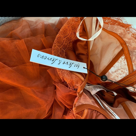 For Love and Lemons gorgeous bustier gown - Picture 6 of 9